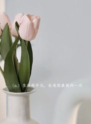 -JONMAVIN·美学
