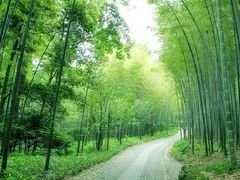 -BHG Market Place(水游城店)