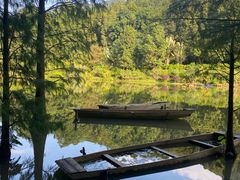 -深圳仙湖植物园