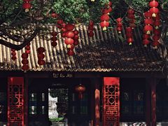 -顺峰山公园