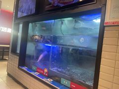 -鱼酷活鱼烤鱼(南京水游城店)