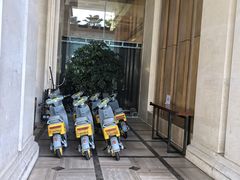 -绿城千岛湖喜来登度假酒店