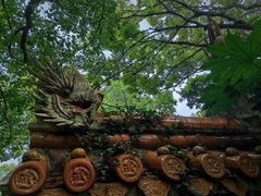 -普陀山风景名胜区-法雨禅寺
