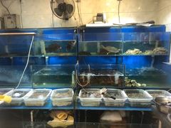 -福建美食城(老君堂店)