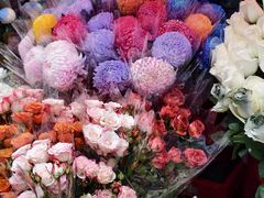 -越秀西湖花市(广州城市广场花卉店)