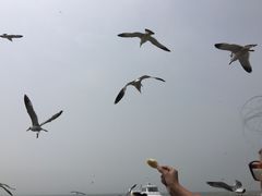 -海驴岛(荣成市)