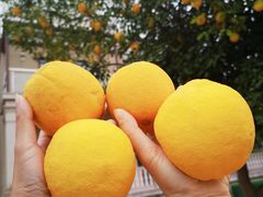 -帐篷客·溪龙茶谷度假酒店