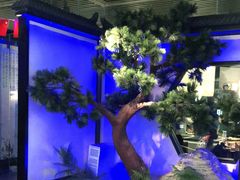 -绿茶餐厅(成都大悦城店)