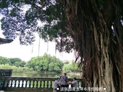 -东莞市可园博物馆