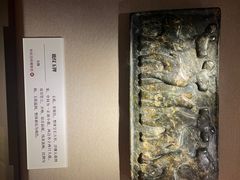 -呼和浩特博物馆