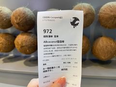 -蔻蔻椰·鲜萃椰子水(COCO Park店)