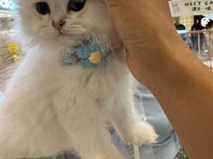 -杭州来福士中心