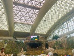 -杭州开元森泊度假乐园