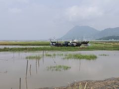 -大京沙滩