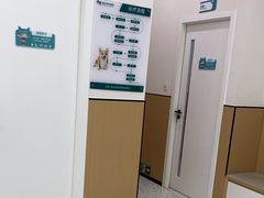 -瑞派康怡24h宠物医院·犬猫医疗中心·微创绝育(瑞景分院)