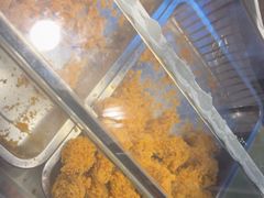 -味味香(团结湖店)