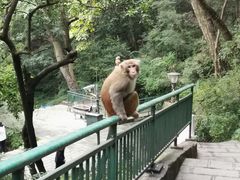 -黔灵山公园-南门售票处