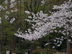-井之头恩赐公园