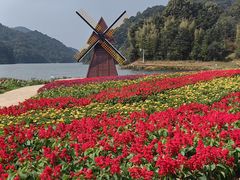 -广州市石门国家森林公园