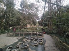 -成都市活水公园