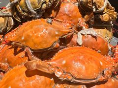 -一方渔歌蒸汽海鲜自助(文化路万达广场店)