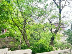 -北京凤凰岭