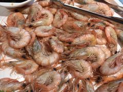 -开海·红岛海鲜虾水饺(石老人店)
