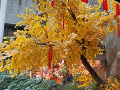 -阿大排档(长春这有山店)