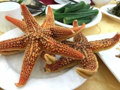 -海岛渔村大酒店(云霄路店)