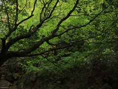 -浙西天池景区