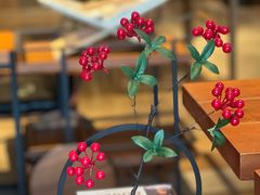 -深圳罗湖木棉花凯悦尚选酒店•大堂吧