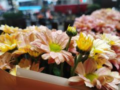 -红土地(地铁站)