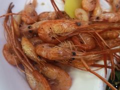 -全乐鱼馆·淳牌有机鱼直营店
