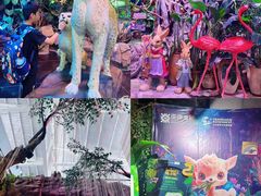 -正佳雨林生态植物园