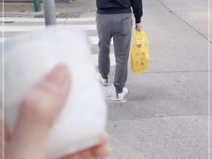 -洪馨椰子