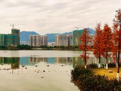 -飞来湖湿地公园