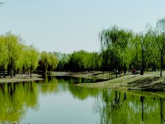 -东郊湿地公园