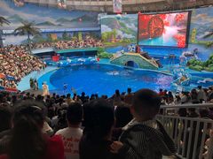 -海合安成都极地海洋公园