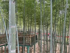 -陶祖圣境风景区