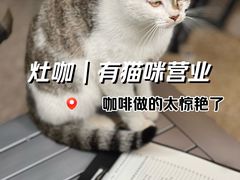 -灶咖KITCHEN