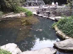 -大屏嶂森林公园