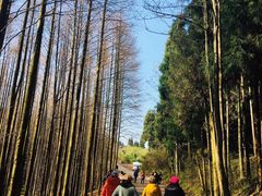 -山王坪喀斯特国家生态公园