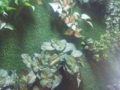 android_upload_pic-不二舟食府(车站南路店)