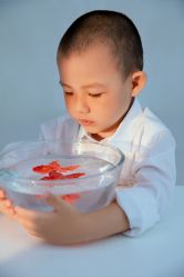 -芳妮豆丁儿童摄影(民治旗舰店)