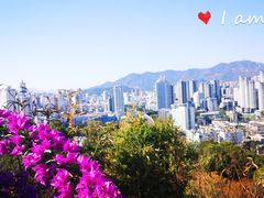 -金鸡山公园