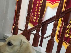 -心仪动物医院·牙专科·肿瘤·心脏科(西客站院)