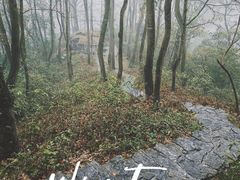 -桂林古东瀑布景区