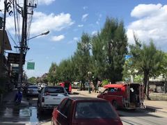 -芒果糯米饭摊子