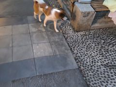 -闻酥园(水碾河路店)