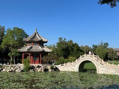 -莲池书院博物馆